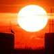 HACE. MUCHO. CALOR.
Foto: AP